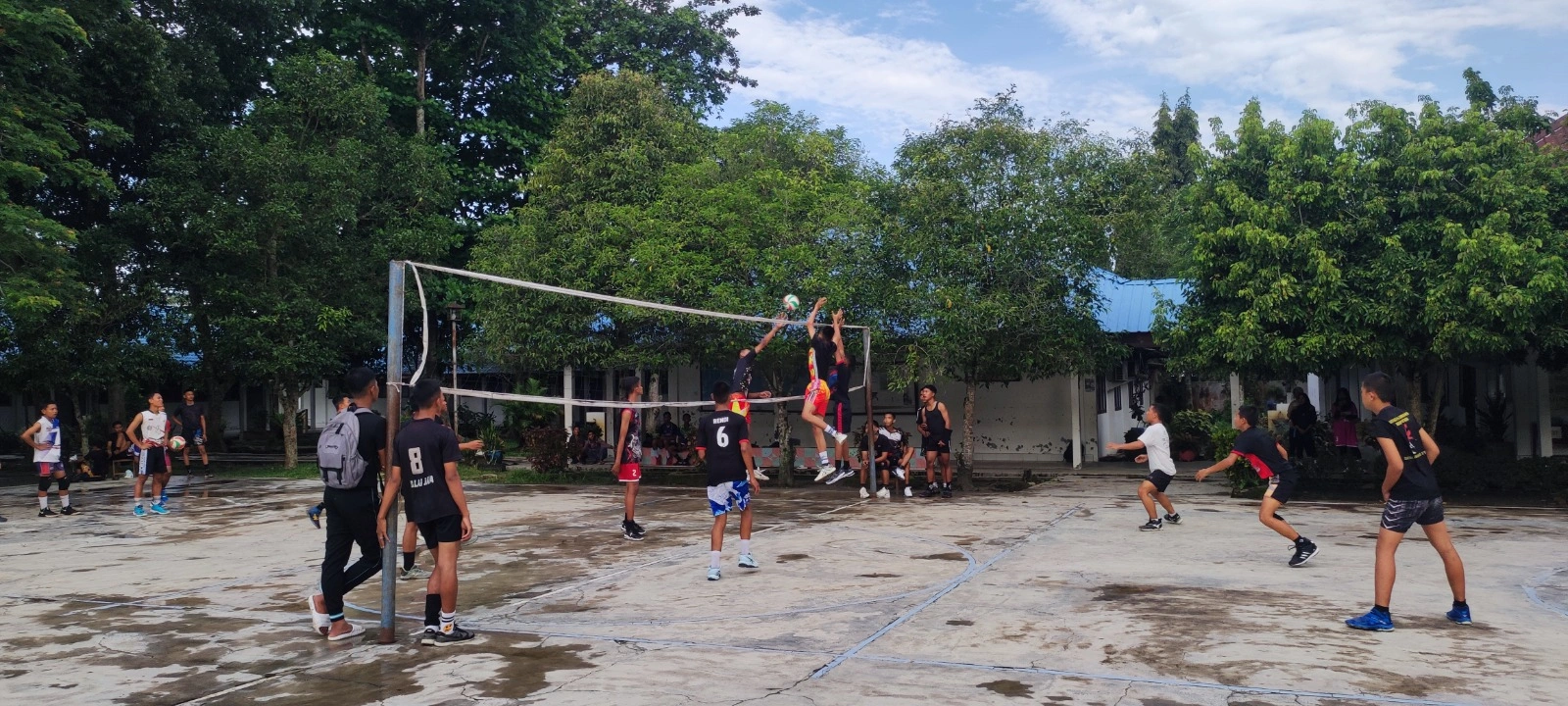 Volly